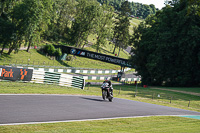 Lower Group Black Bikes